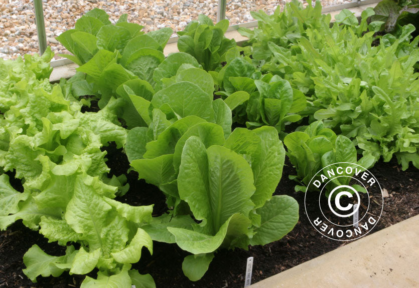 Juliana sol thermomètre