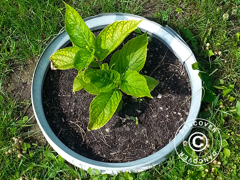 Parterre de fleurs surélevée, Ø0,5x0,1m, Argent