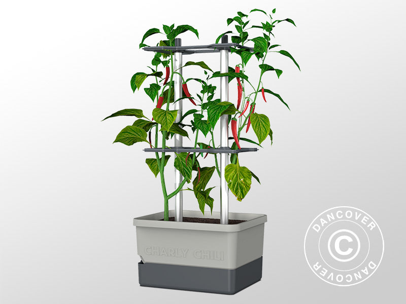 Jardinière, CHARLY CHILI, avec piquet et réservoir d’eau, Gris clair