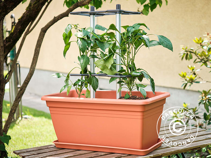 Rankhilfe, CHILI BUDDY, Anthrazit/Silber