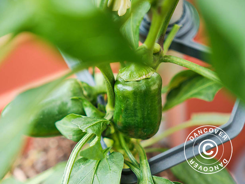 Rankhilfe, CHILI BUDDY, Anthrazit/Silber