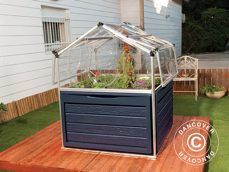 Mini-Gewächshaus PLANT INN, Palram/Canopia, 1,18x1,18x1,48m, Durchsichtig