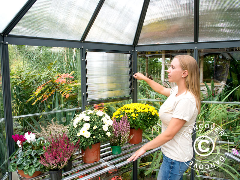 Serre orangerie en polycarbonate OASIS, Hexagonal 3,91m², Palram/Canopia, 2,13x2,47x2,67m, Anthracite