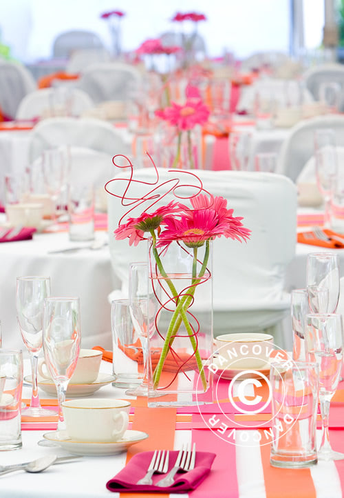 Tendone per feste, SEMI PRO Plus CombiTents® 900 6x14m, 5 in 1, Bianco