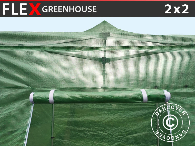 Copertura per serra FleX, 2x2m, PE, Trasparente/Verde