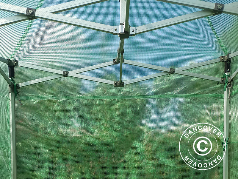 Serra FleX 2x2m, PE, Trasparente/Verde