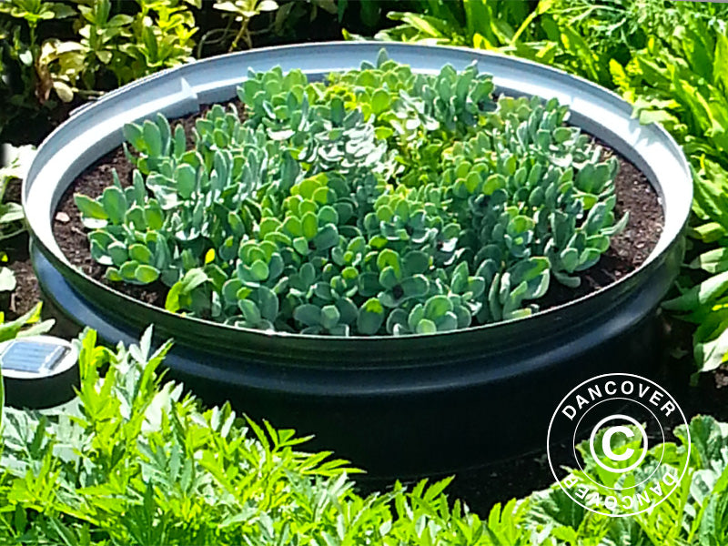 Parterre de fleurs surélevée, Ø0,5x0,1m, Argent