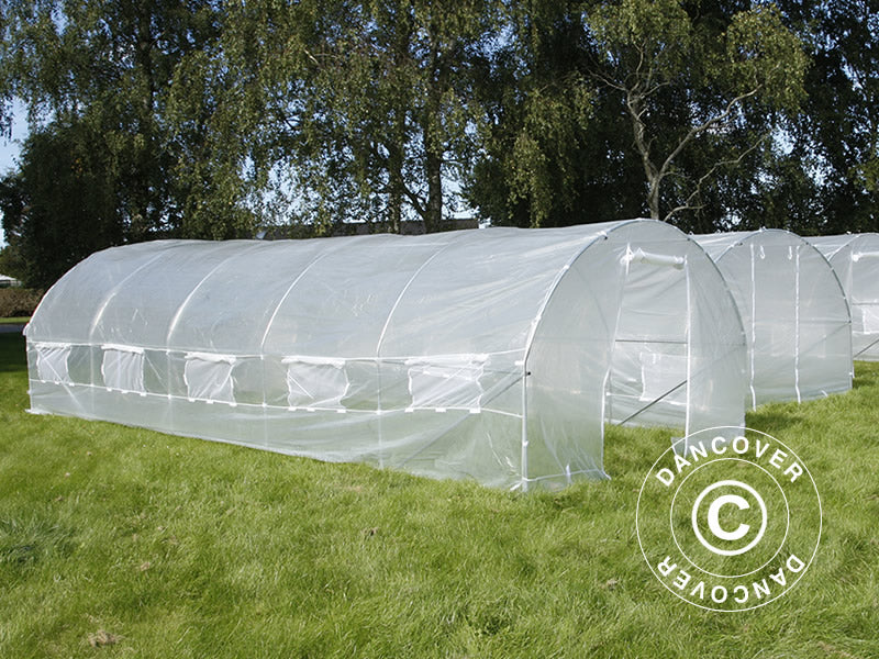 Serre Tunnel 4x8x2m, 32m², Transparent