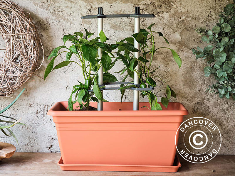 Rankhilfe, CHILI BUDDY, Anthrazit/Silber