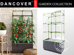 Bacs à plantes