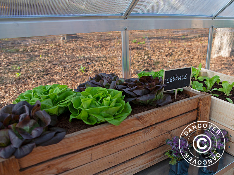 Serre en polycarbonate Balance 11,8m², Palram/Canopia, 2,44x4,87x2,29m, Argent