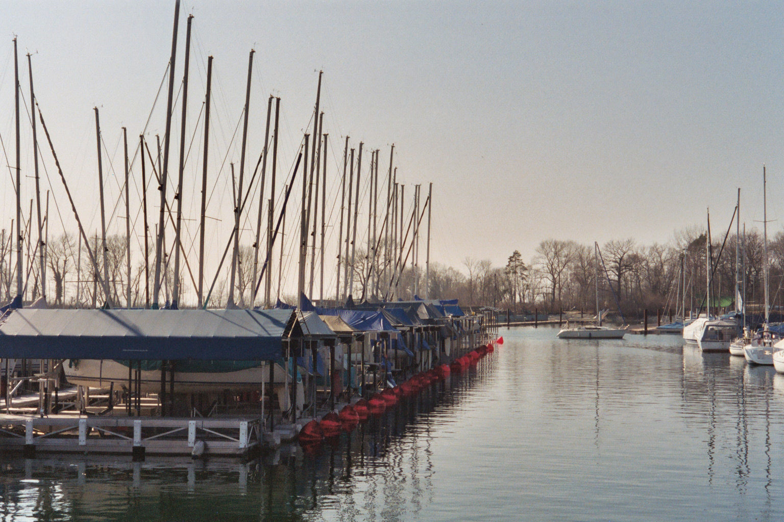 Telo 6x8m, PVC 570g/m², Blu